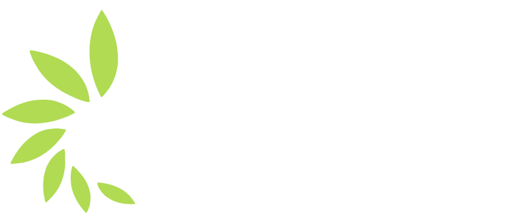 via nova logo